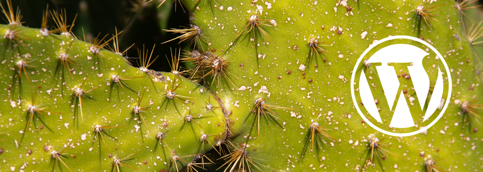 Close up image of a prickly pear cactus with the WordPress logo superimposed.